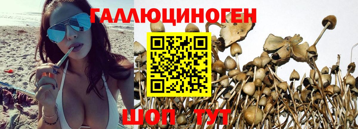 Галлюциногенные грибы мухоморы Похвистнево