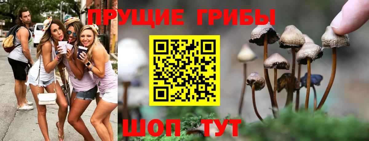 Похвистнево  Псилоцибиновые грибы мухоморы  Псилоцибиновые грибы MAGIC MUSHROOMS  Вход с VPN 